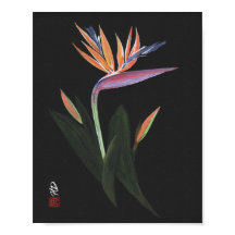 Midnight Bird of Paradise Art