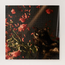 Midnight Bloom Cats