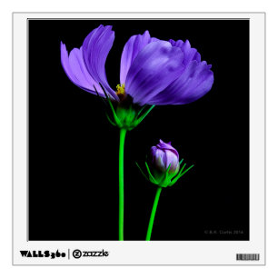 Midnight Bloom Wall Decal