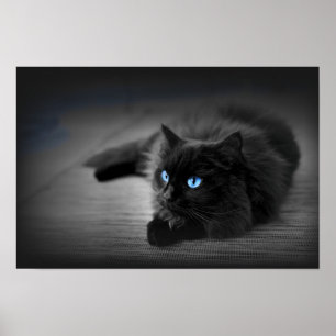 Midnight Blue Eyes — Black Cat Wall Art Poster