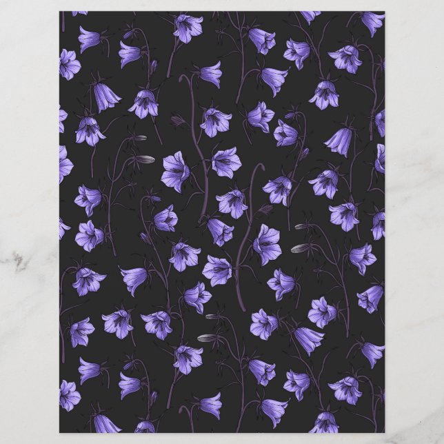 Midnight Bluebells, Harebells, Bellflowers (Front)