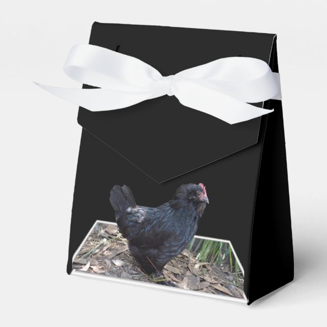 "Midnight Feathers: A Black Chicken in Popout Art" Favor Boxes (Front Side)