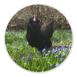 Midnight flowers knob pull chicken hen tail right