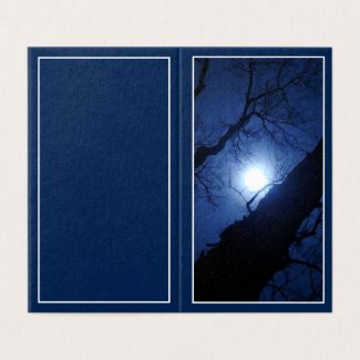 Midnight Full Moon Through Big Tree