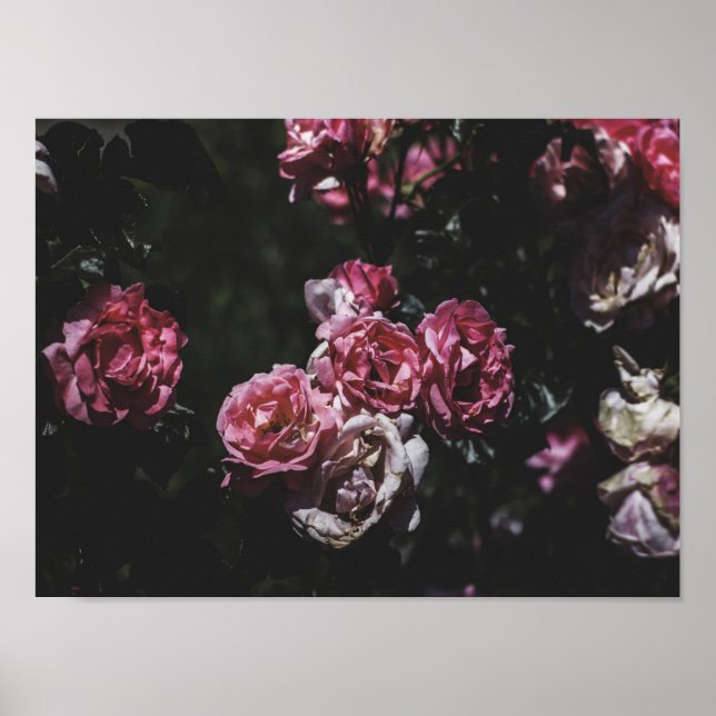 Midnight garden, dark floral art poster (Front)