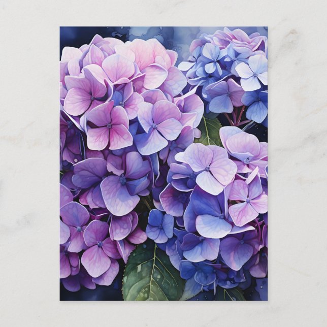 Midnight Garden Violet Hydrangea Watercolor Announcement Postcard (Front)