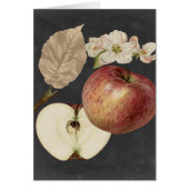 Midnight Harvest II (Front)