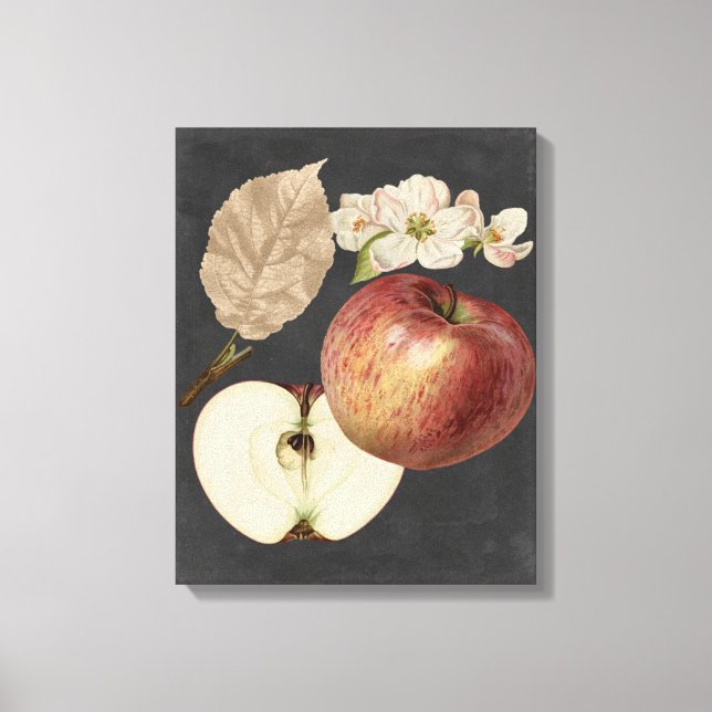 Midnight Harvest II Canvas Print (Front)
