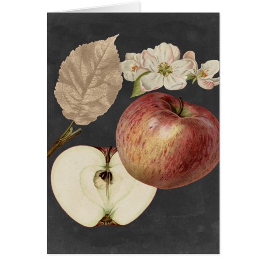 Midnight Harvest II Cards (Front)