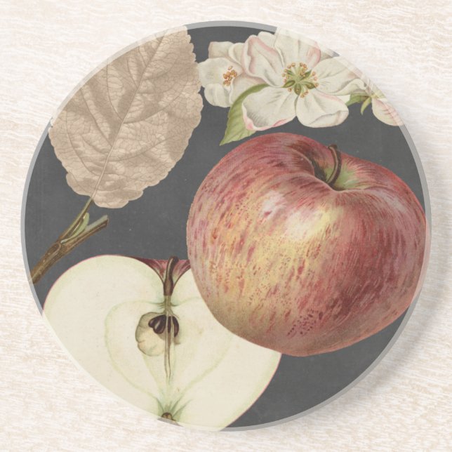 Midnight Harvest II Coaster (Front)