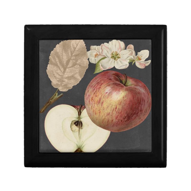 Midnight Harvest II Keepsake Box (Front)