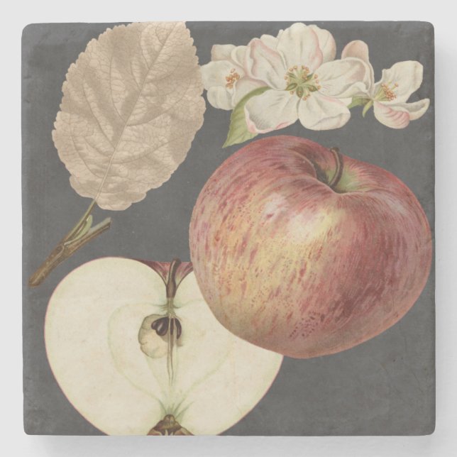 Midnight Harvest II Stone Coaster (Front)