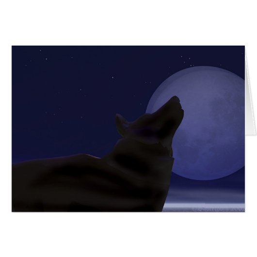 Midnight Howl Cards (Front Horizontal)