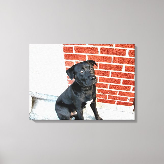 Midnight In A Pensive Mood Canvas Print (Front)