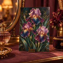 Midnight Iris Study Art Print