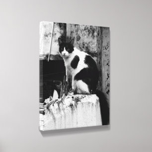 Midnight & Ivory Canvas Photo Tile