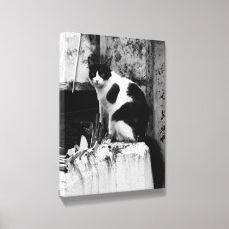 Midnight & Ivory Canvas Photo Tile