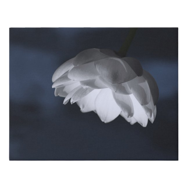 Midnight Lotus Faux Canvas Print (Front)