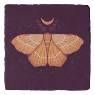 Midnight Magic: Witchy Night Moth Trivet
