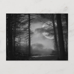 Midnight Moon - B&W Postcard