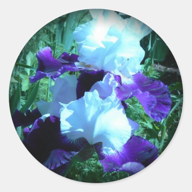 Midnight Moonlight Iris Classic Round Sticker (Front)