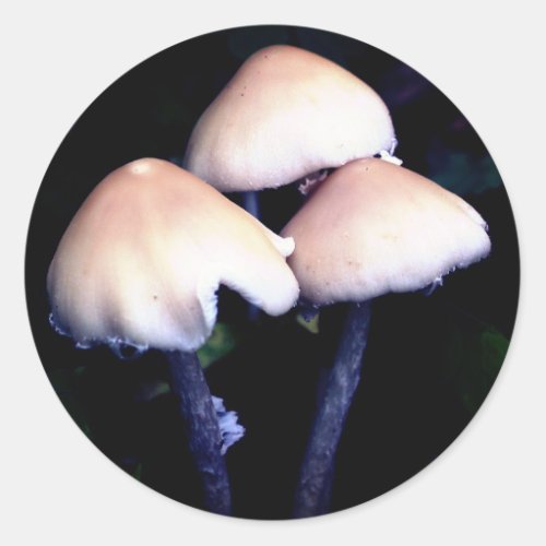 Midnight Mushrooms Nature Classic Round Sticker