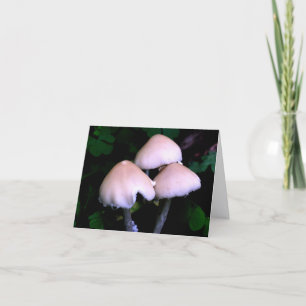 Midnight Mushrooms Nature Photography Note Card