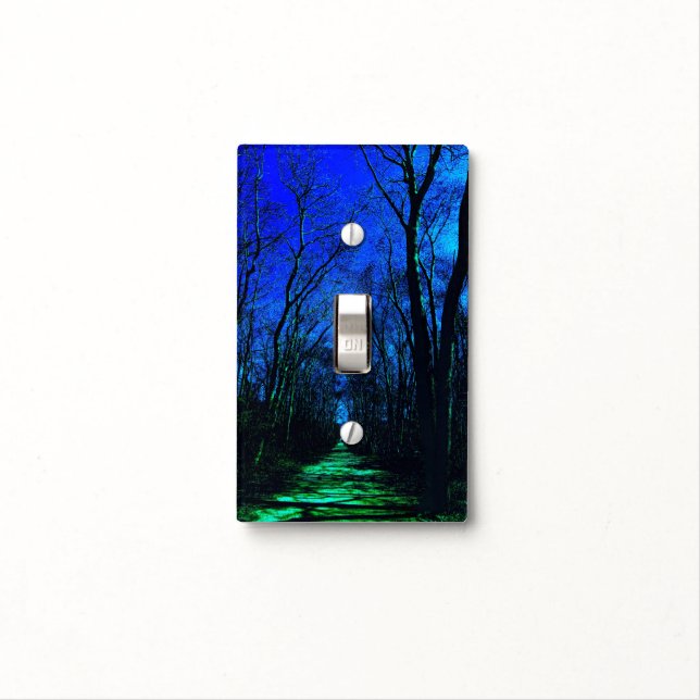 Midnight Path Light Switch Plate (In Situ)