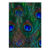 Midnight Peacock Feathers Etching Style Decor (Front)