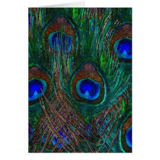 Midnight Peacock Feathers Etching Style Decor (Front)