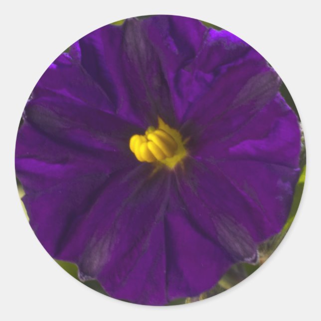 Midnight Shade Classic Round Sticker (Front)