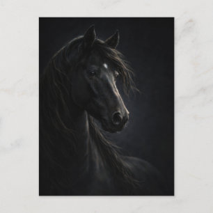 Midnight Sky   Horse Art   Postcard