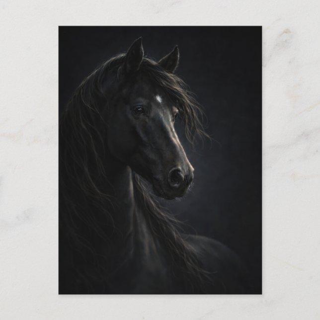 Midnight Sky | Horse Art | Postcard (Front)