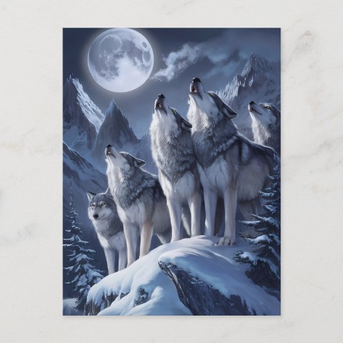 Midnight Summit Wolves Trio Postcard