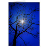 Midnight Sun (Front)