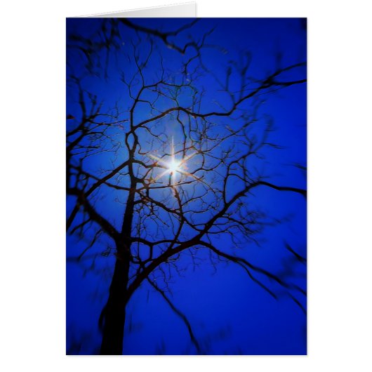 Midnight Sun Cards (Front)