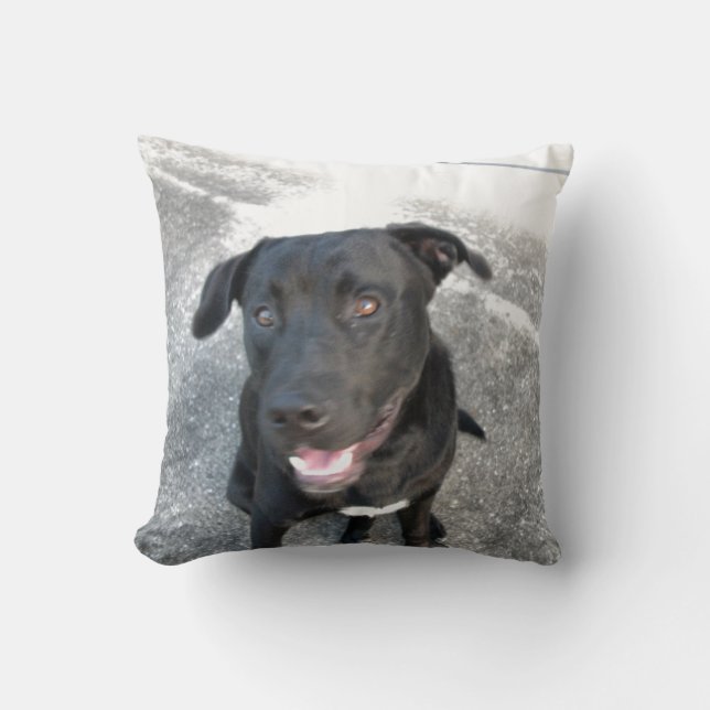 Midnight the Black Lab Smiles Throw Pillow (Front)