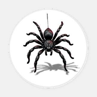 Midnight Weaver (Spider and the Web) Themed Coaster Set