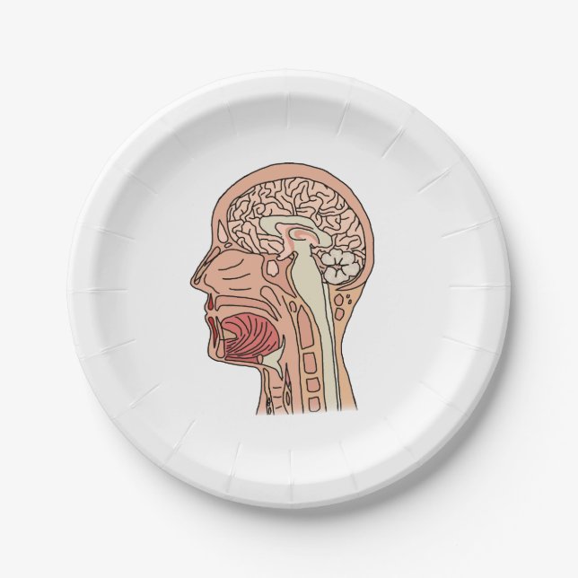 Midsagittal Brain Cross Section Paper Plates (Front)