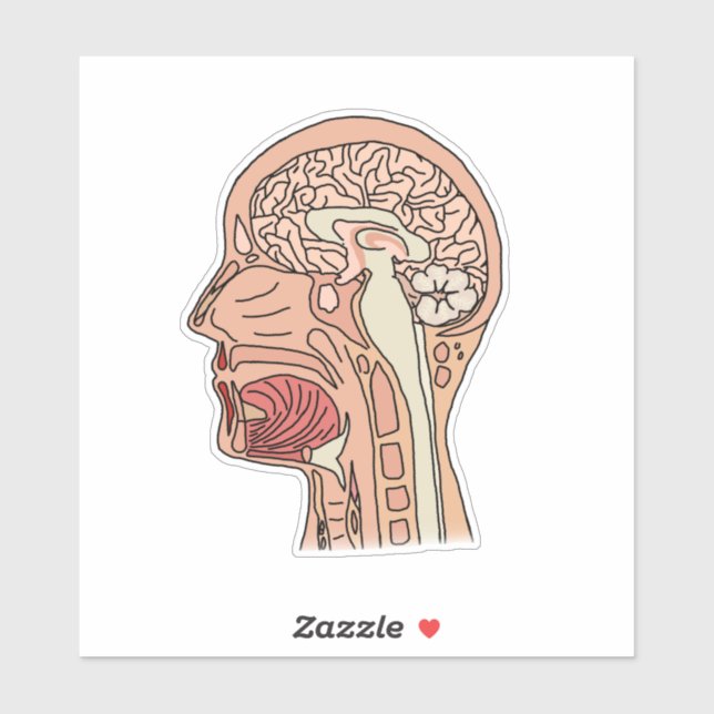 Midsagittal Brain Cross Section Sticker (Sheet)