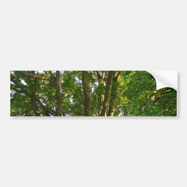 Midsummer Light Småland Bumper Sticker (Front)