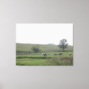 Midwest Farm Dairy Cows Photography Wall Art
