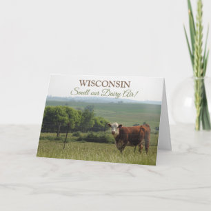 Midwest Photography   Beautiful Cow and Scenery Card