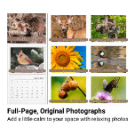 Midwestern Backyard Nature Photography Calendar<br><div class="desc">Popular favorites like birds, native flowers, deer, a frog, and even Ohio buckeyes fill the pages of this nature photography calendar. Laugh at a young squirrel family, and admire a hawk as he overlooks a creek and waits to fish for his breakfast. Full color photos also have a label identifying...</div>