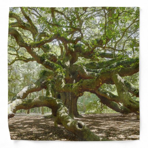 Mighty Angel Oak Bandana