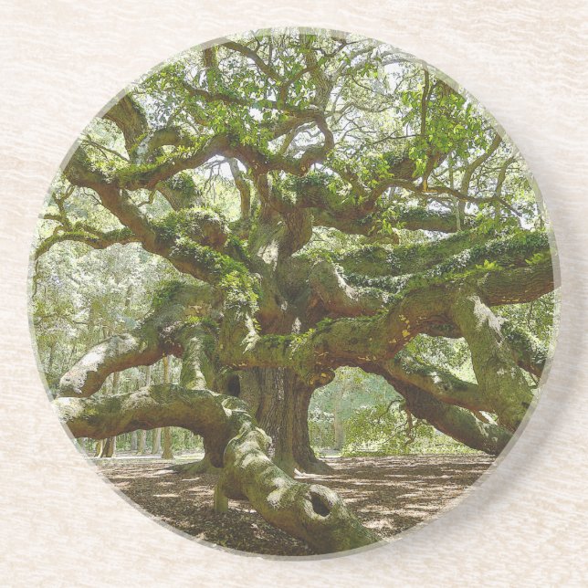 Mighty Angel Oak Drink Coaster (Front)