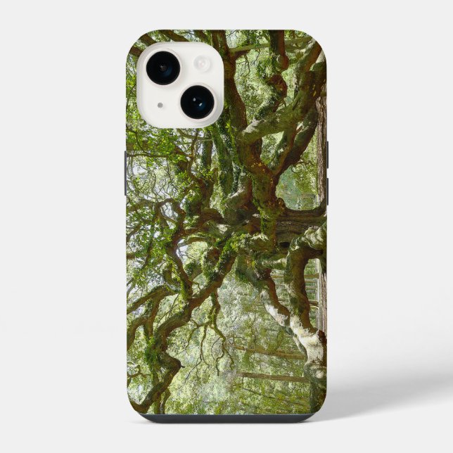 Mighty Angel Oak Iphone Case (Back)
