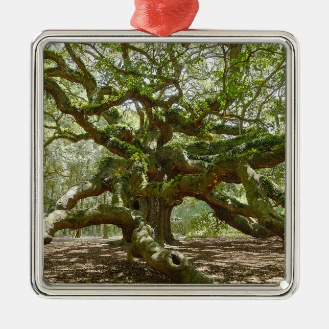 Mighty Angel Oak Metal Ornament (Front)