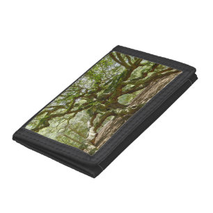 Mighty Angel Oak Tri-fold Wallet