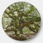 Mighty Angel Oak Wireless Charger (Front)